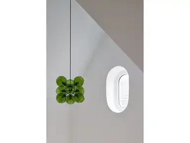 DGFenster