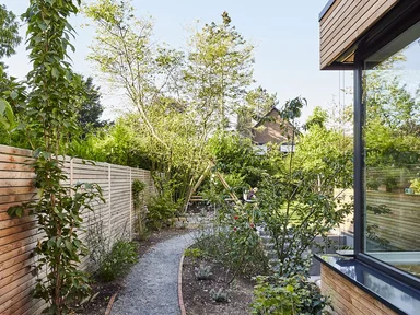 Begrünter Weg neben dem Haus zum Garten